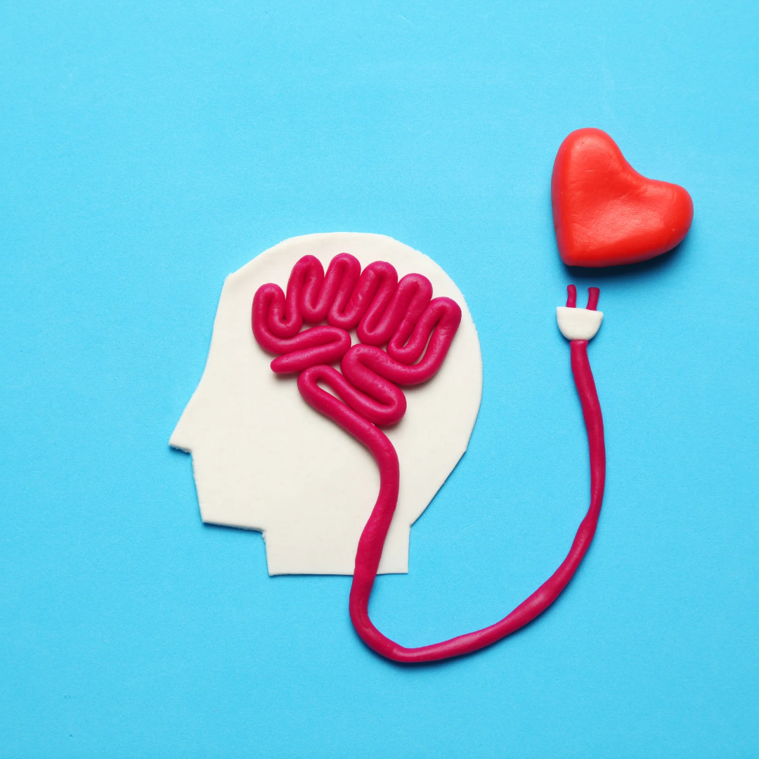 Inteligência Emocional (IE): Caminhos para o Autoconhecimento e o Equilíbrio